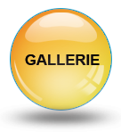 Gallerie unserer Referenzen!